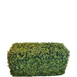 Greenmoods Kunstig Buksbom Hekk Romerstil 90x35x50cm Greenmoods Kunstig Buksbom Hekk Romerstil 90x35x50cm