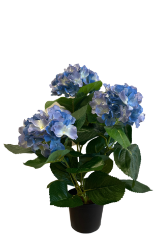Greenmoods Kunstig Hortensia Blå UV 35 cm