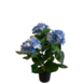 Greenmoods Kunstig Hortensia Blå UV 35 cm