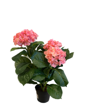 Greenmoods Kunstig Hortensia Rosa UV 35cm