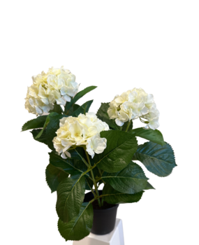 Greenmoods Kunstig Hortensia Hvit UV 35cm