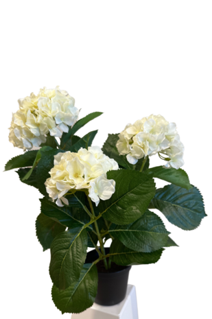 Greenmoods Kunstig Hortensia Hvit UV 35cm