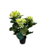 Greenmoods Kunstig Hortensia Kremhvit/Grønn UV 35cm