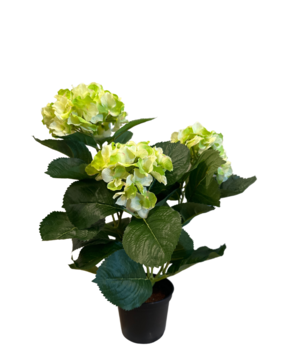 Greenmoods Kunstig Hortensia Kremhvit/Grønn UV 35cm