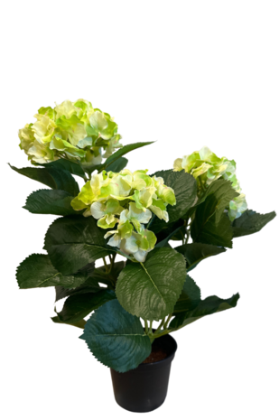 Greenmoods Kunstig Hortensia Kremhvit/Grønn UV 35cm