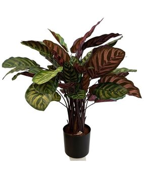 Greenmoods Kunstig Calathea Makoyana Burgunder75cm Greenmoods Kunstig Calathea Makoyana Burgunder75cm