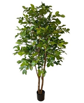 Greenmoods Kunstig Agnbøk 180cm Greenmoods Kunstig Agnbøk 180cm