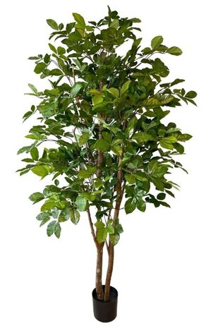 Greenmoods Kunstig Agnbøk 180cm