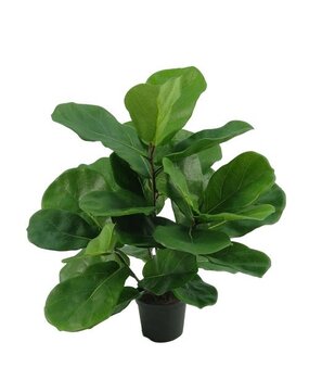 Greenmoods Kunstig Fiolinfiken Plante i Potte 45cm Greenmoods Kunstig Fiolinfiken Plante i Potte 45cm