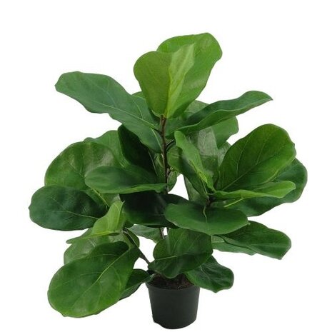 Greenmoods Kunstig Fiolinfiken Plante i Potte 45cm