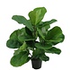 Greenmoods Kunstig Fiolinfiken Plante i Potte 45cm