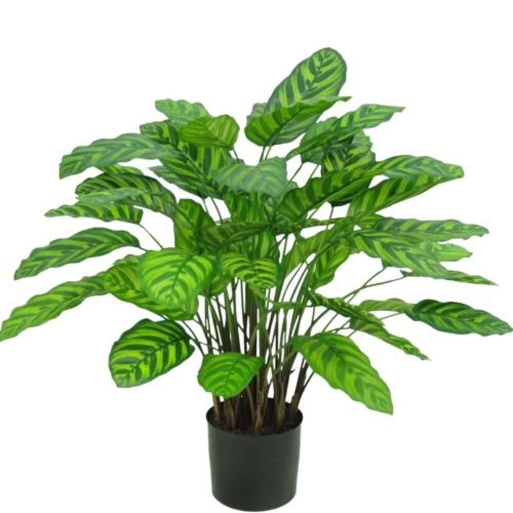 Greenmoods Kunstig Calathea Makoyana Fyldig 75cm