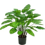 Greenmoods Kunstig Calathea Makoyana Fyldig 75cm Greenmoods Kunstig Calathea Makoyana Fyldig 75cm