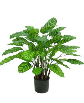Greenmoods Kunstig Calathea Makoyana Fyldig 75cm Greenmoods Kunstig Calathea Makoyana Fyldig 75cm