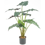 Greenmoods Kunstig Alocasia 67cm Greenmoods Kunstig Alocasia 67cm