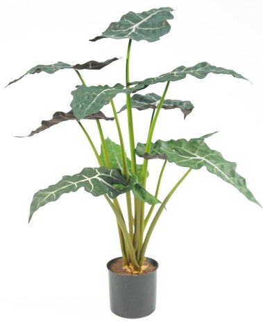 Greenmoods Kunstig  Alocasia 67cm