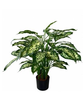 Greenmoods Kunstig Dieffenbachia Deluxe 75cm Greenmoods Kunstig Dieffenbachia Deluxe 75cm