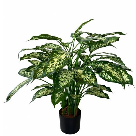 Greenmoods Kunstig Dieffenbachia Deluxe 75cm