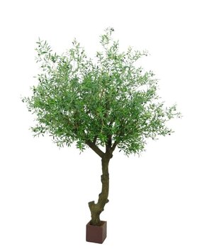 Greenmoods Kunstig Oliventre Gigant m/Oliven 300cm Greenmoods Kunstig Oliventre Gigant m/Oliven 300cm