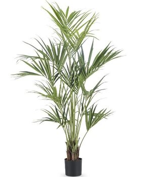 Greenmoods Kunstig Kentia Palme Brannsikker 190cm