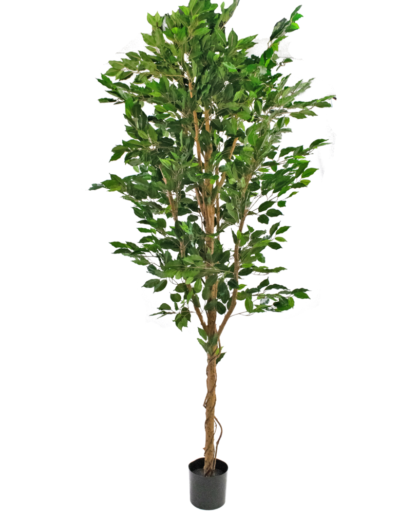 Greenmoods Kunstig Fat Fikus 240cm