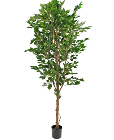 Greenmoods Kunstig Fat Fikus 240cm