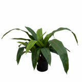 Greenmoods Kunstig "Bird`s nest" Bregne 60cm Greenmoods Kunstig "Bird`s nest" Bregne 60cm