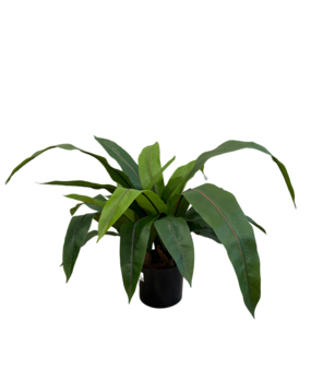 Greenmoods Kunstig "Bird`s nest" Bregne 60cm Greenmoods Kunstig "Bird`s nest" Bregne 60cm