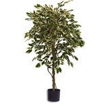 Greenmoods Kunstig Fat Fikus Grønnhvit 150cm Greenmoods Kunstig Fat Fikus Grønnhvit 150cm