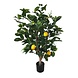 Greenmoods Kunstig Sitrontre 90 cm
