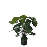 Greenmoods Kunstig Syngonium 55 cm Greenmoods Kunstig Syngonium 55 cm