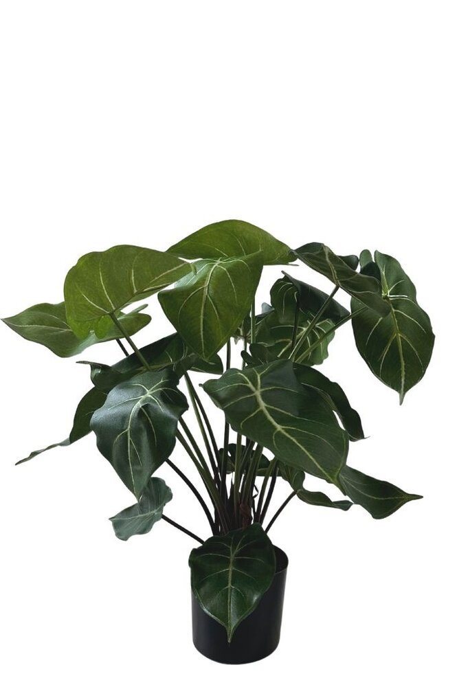 Greenmoods Kunstig Clusia 45 cm