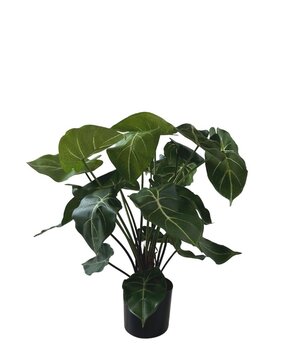 Greenmoods Kunstig Clusia 45 cm Greenmoods Kunstig Clusia 45 cm