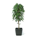 Greenmoods Kunstig Fat Fikus 210cm Greenmoods Kunstig Fat Fikus 210cm