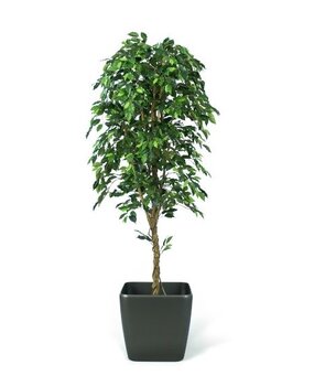 Greenmoods Kunstig Fat Fikus 210cm Greenmoods Kunstig Fat Fikus 210cm