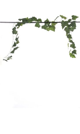 Greenmoods Kunstig Eføy Girlander 340cm