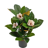 Greenmoods Kunstig Magnolia i Potte 46cm Greenmoods Kunstig Magnolia i Potte 46cm