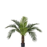 Greenmoods Kunstig Kanari Palme 160cm Greenmoods Kunstig Kanari Palme 160cm