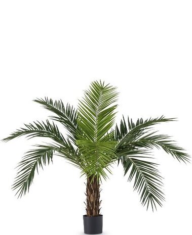 Greenmoods Kunstig Kanari Palme 160cm