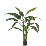 Greenmoods Kunstig Heliconia Deluxe 170cm