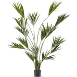 Greenmoods Kunstig Kentia Palme 220cm Greenmoods Kunstig Kentia Palme 220cm