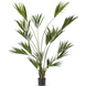 Greenmoods Kunstig Kentia Palme 220cm