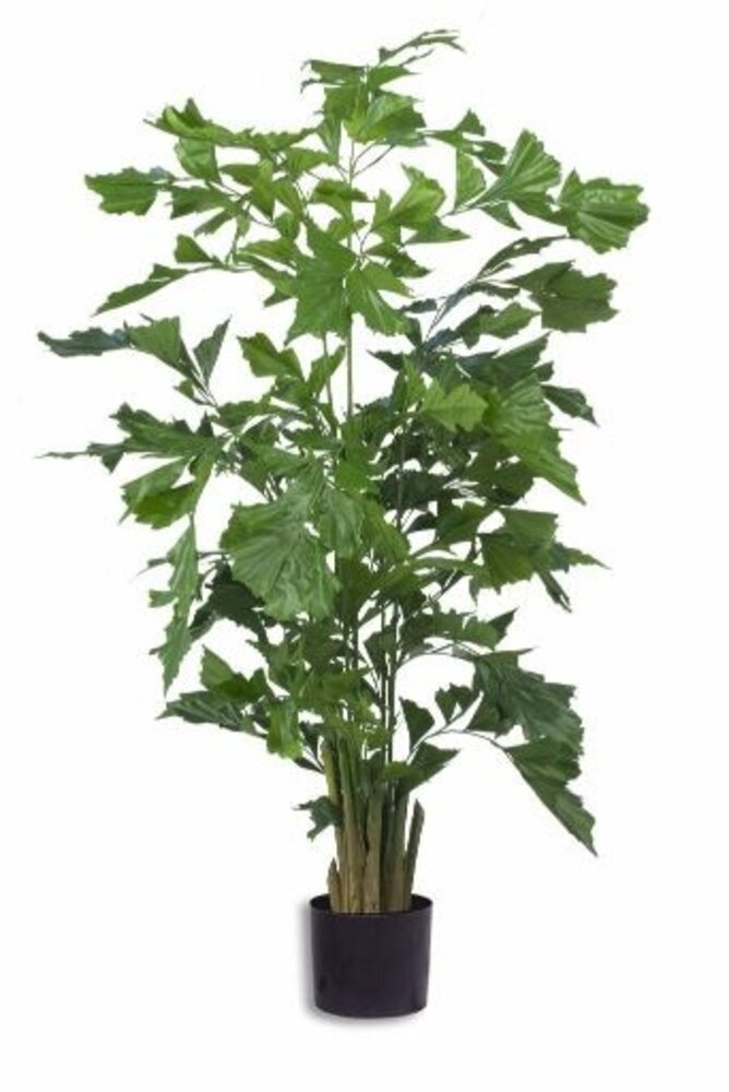 Greenmoods Kunstig Fishtail Palme 200cm