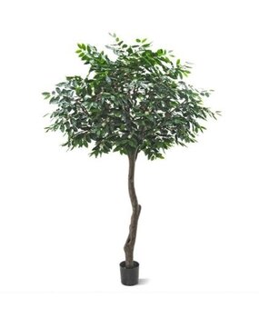 Greenmoods Kunstig Arabisk Kaffetre 300cm Greenmoods Kunstig Arabisk Kaffetre 300cm