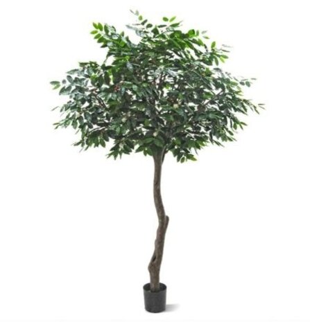 Greenmoods Kunstig Arabisk Kaffetre 300cm