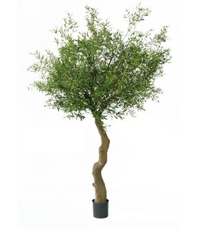 Greenmoods Kunstig Oliventre Gigant 270cm