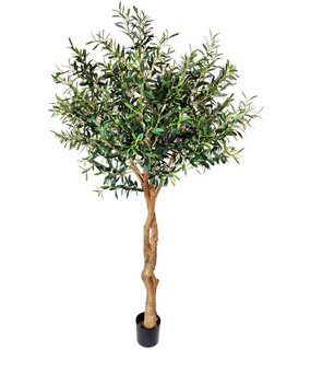 Greenmoods Kunstig Oliventre "Twist" 190cm