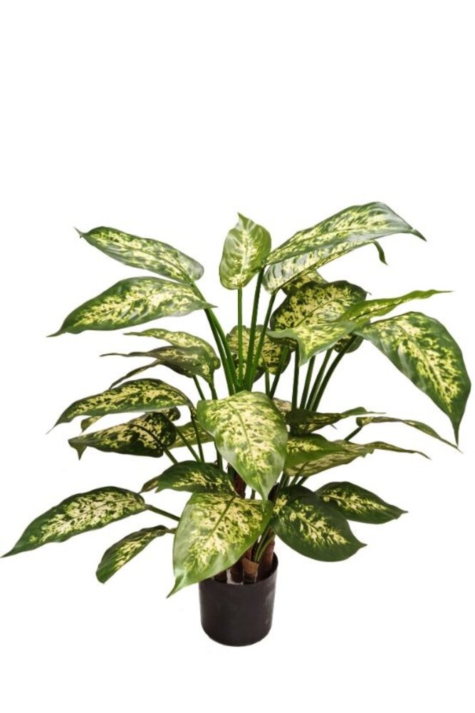 Greenmoods Kunstig Diffenbachia 68cm