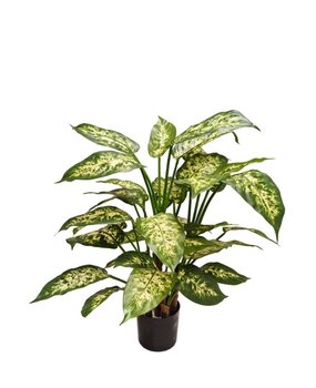 Greenmoods Kunstig Diffenbachia 68cm Greenmoods Kunstig Diffenbachia 68cm