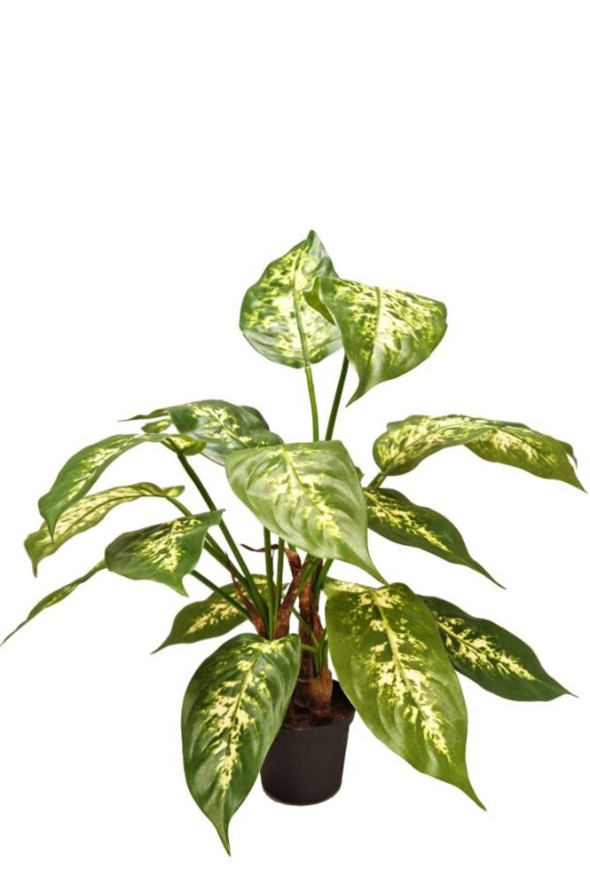 Greenmoods Kunstig Diffenbachia 40cm